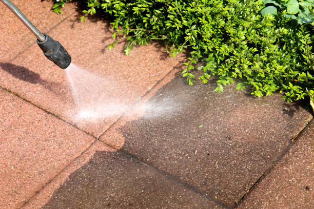 Best Local Pressure Washing Services  in Patterson, CA