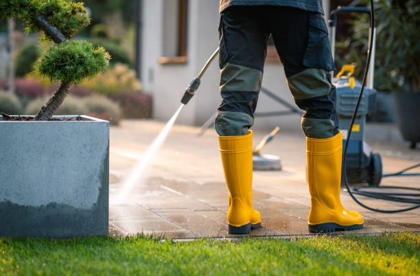 Best Concrete Pressure Washing  in Patterson, CA